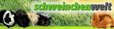 Schweinchenwelt - der Meerschweinchen Ratgeber