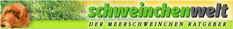 Schweinchenwelt - der Meerschweinchen Ratgeber!