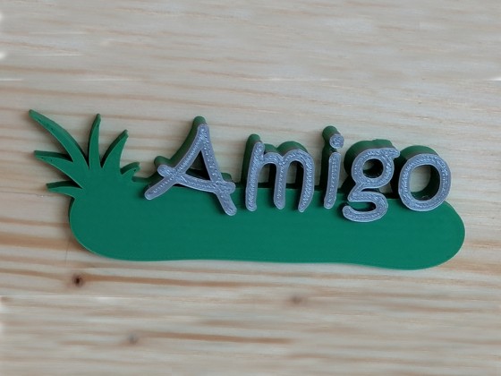 Schildchen_Amigo