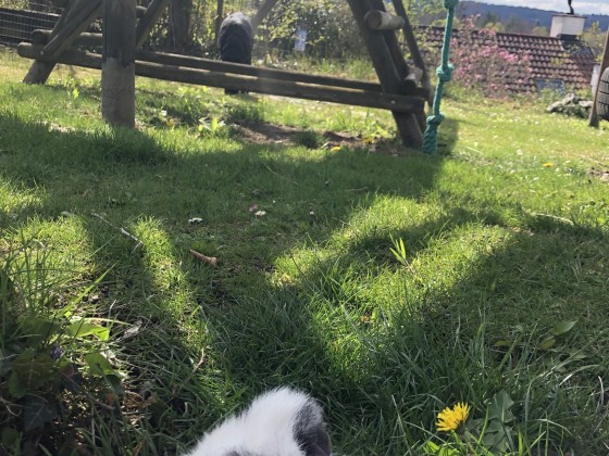 Schönes Wetter geniessen