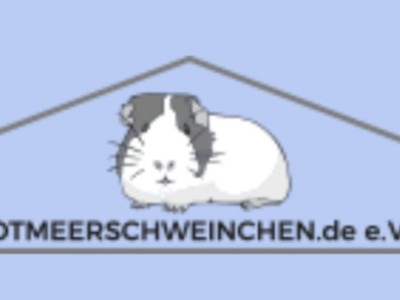 Notmeerschweinchen.de e.V.