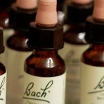 Bachblüten