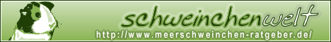 Schweinchenwelt Banner 468x60