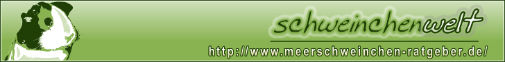 Schweinchenwelt Banner 728x90