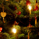 Weihnachtsbaum für Meerschweinchen