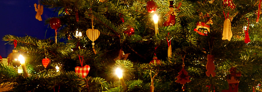 Weihnachtsbaum für Meerschweinchen