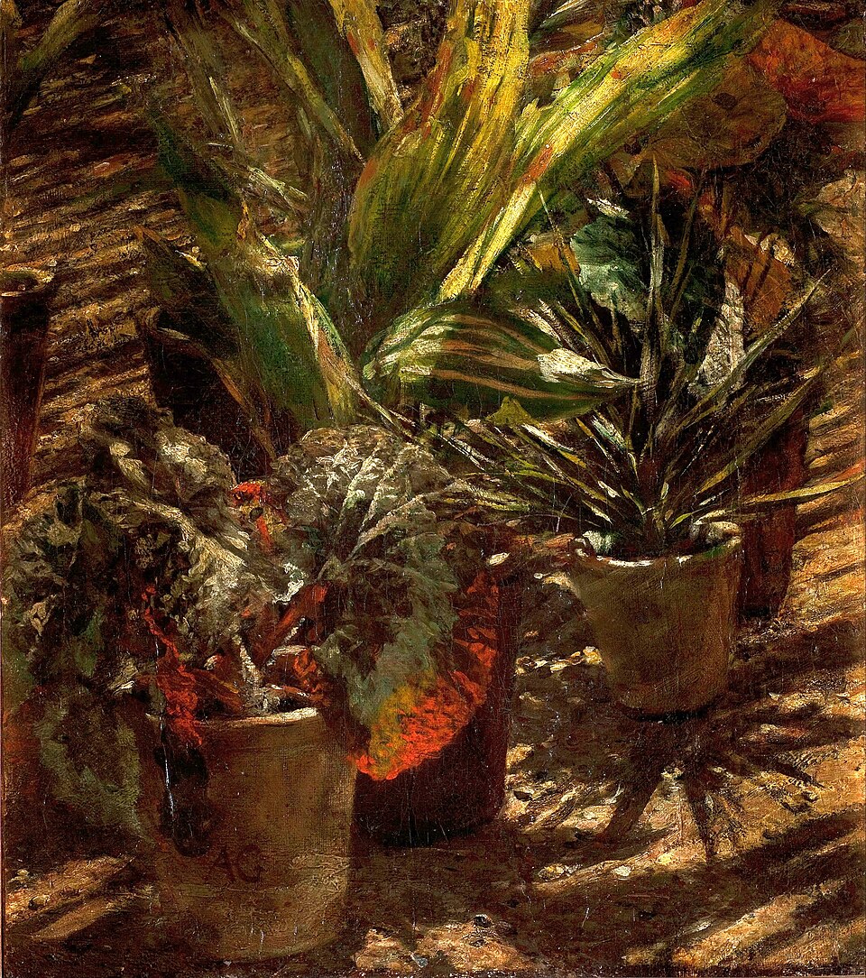 Begonie - Von Aleksander Gierymski - Public domain, https://commons.wikimedia.org/wiki/File:Aleksander_Gierymski_-_Begonie_-_Google_Art_Project.jpg