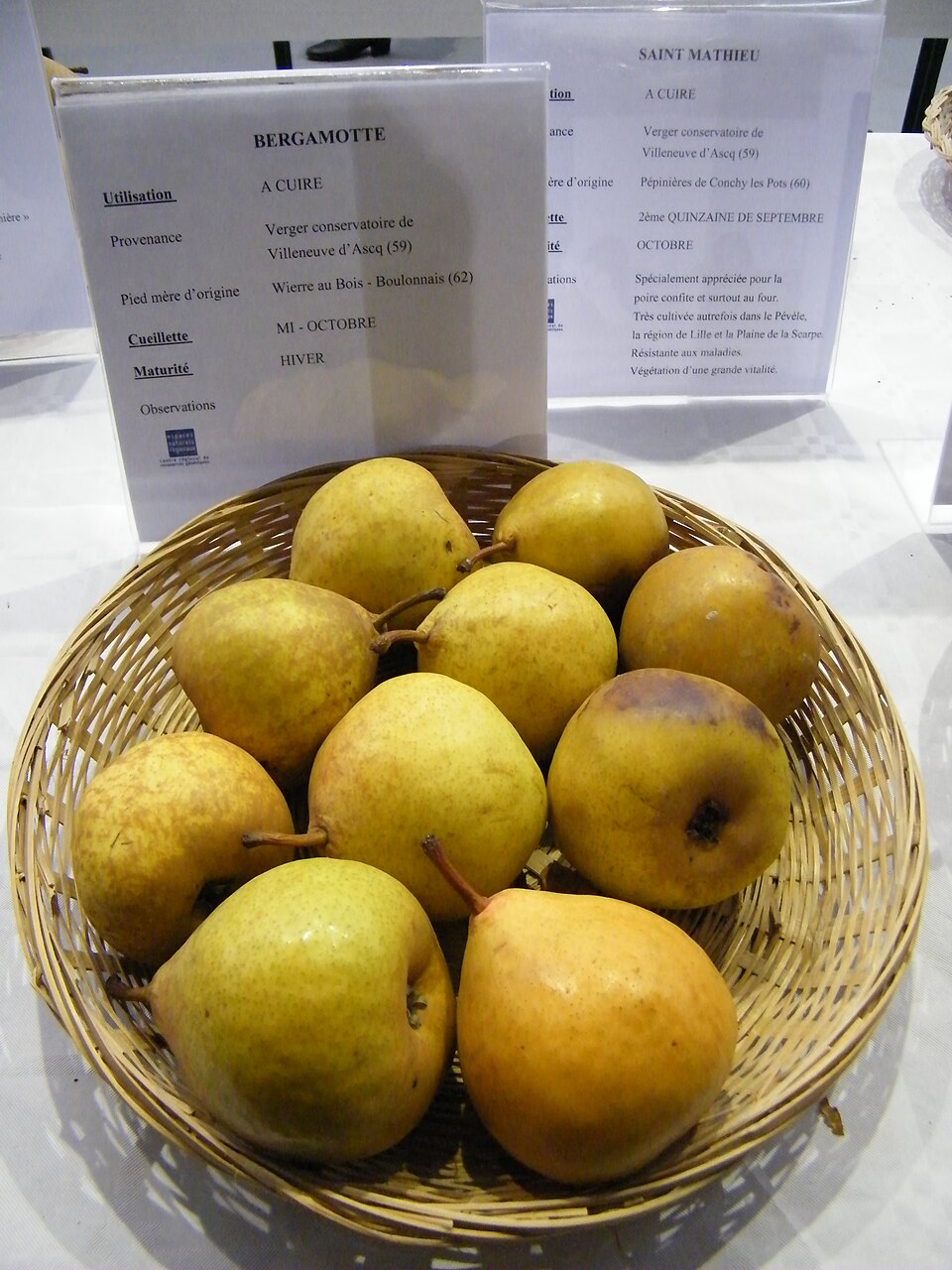 Bergamotte - Von APictche - CC BY-SA 4.0, https://commons.wikimedia.org/wiki/File:Bergamotte,_Ailly-le-Haut-Clocher,_Somme,_Fr,Apple_festival_03et04-11-2018_(38).jpg