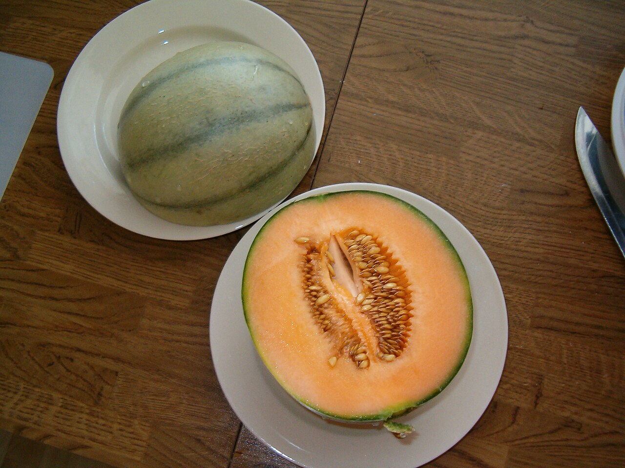 Charentais - Von Marius Kant - CC BY-SA 3.0, https://commons.wikimedia.org/wiki/File:Charentais-Melone.jpg