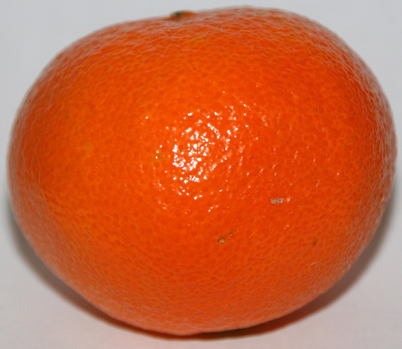 Clementine - Von DrCruse - CC BY-SA 3.0, https://commons.wikimedia.org/wiki/File:Clementine-Front.JPG