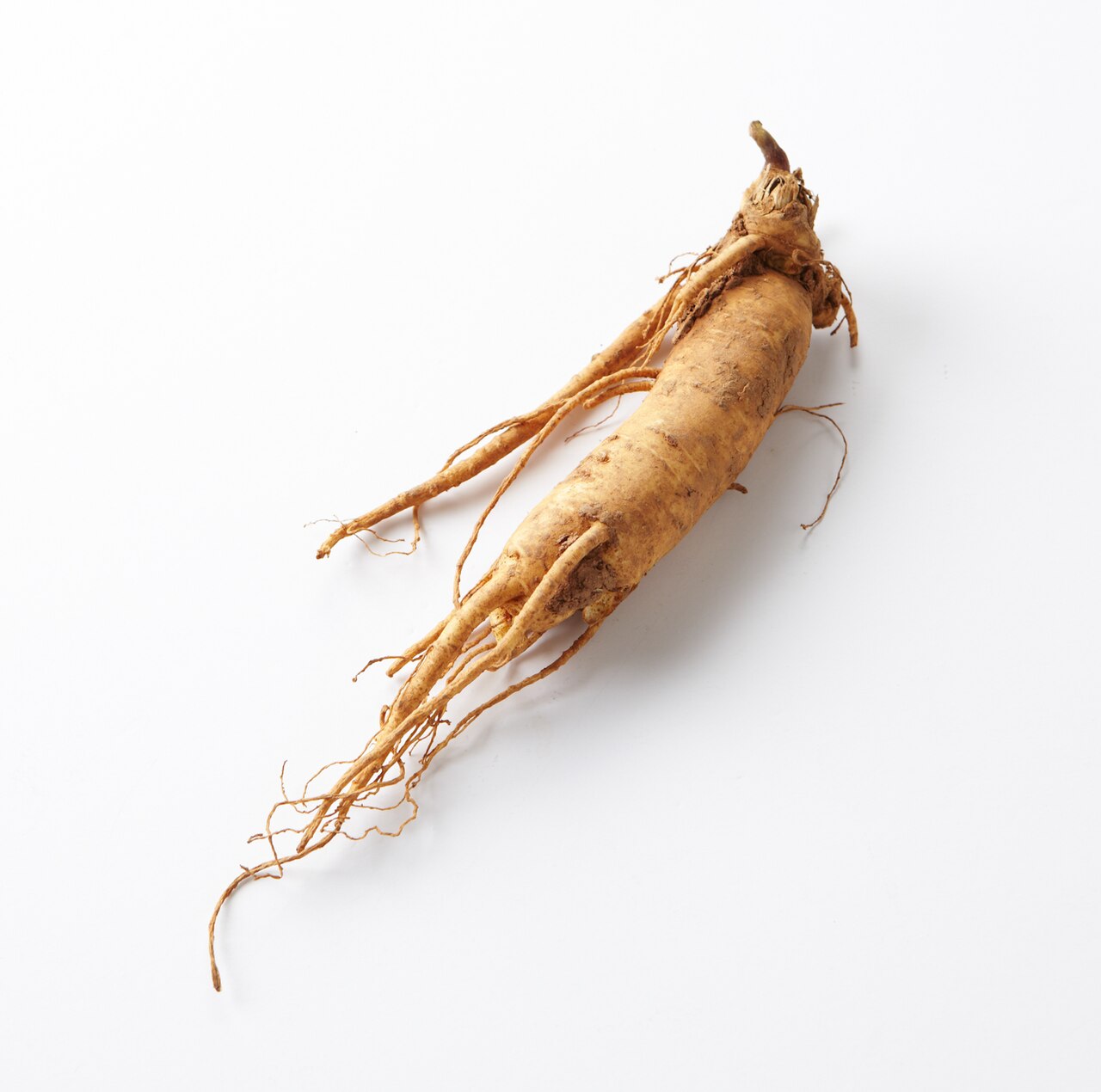 Ginseng - Von 국립국어원 - CC BY-SA 2.0 kr, https://commons.wikimedia.org/wiki/File:Insam_(ginseng).jpg