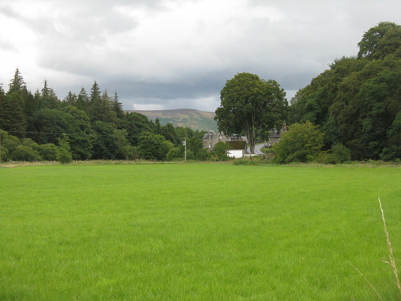Gras - Von M J Richardson  - CC BY-SA 2.0, https://commons.wikimedia.org/wiki/File:Grass_meadow_on_the_Tweed_flood_plain_-_geograph.org.uk_-_4103186.jpg
