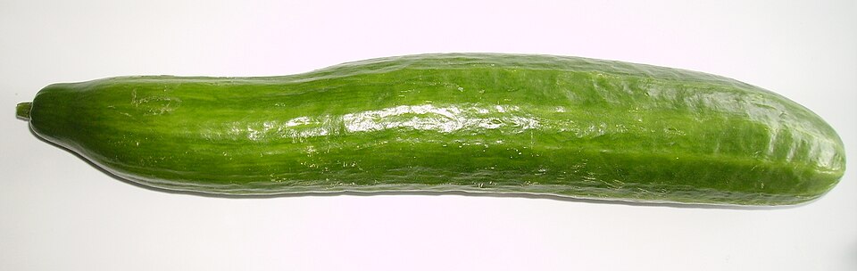 Gurke - Von Garitzko - Public domain, https://commons.wikimedia.org/wiki/File:Gurke_Apr08.jpg
