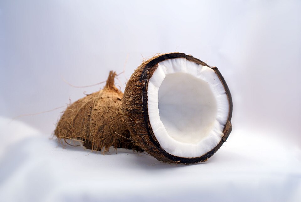 Kokosnuss - Von Robert Wetzlmayr - Public domain, https://commons.wikimedia.org/wiki/File:Kokosnuss-Coconut.jpg