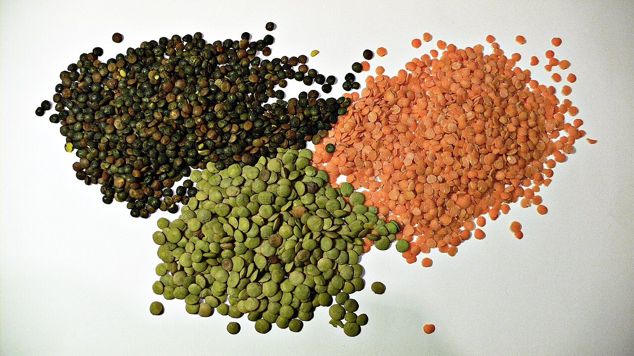 Linse - Von User:Justinc - CC BY-SA 2.0, https://commons.wikimedia.org/wiki/File:3_types_of_lentil.jpg