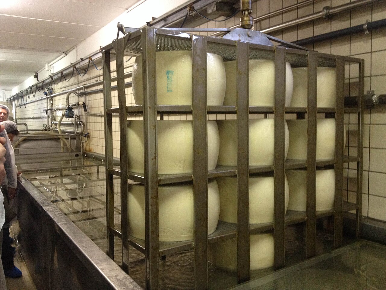 Parmesan - Von Wittylama - CC BY-SA 4.0, https://commons.wikimedia.org/wiki/File:Parmigiano-Reggiano_in_salt_bath.JPG