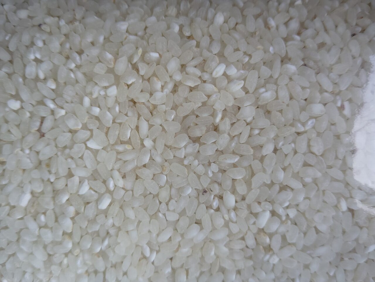 Reis - Von Zahoor Ahmad Reshi - CC0, https://commons.wikimedia.org/wiki/File:Mushqbudji_rice_grains_close-up.jpg