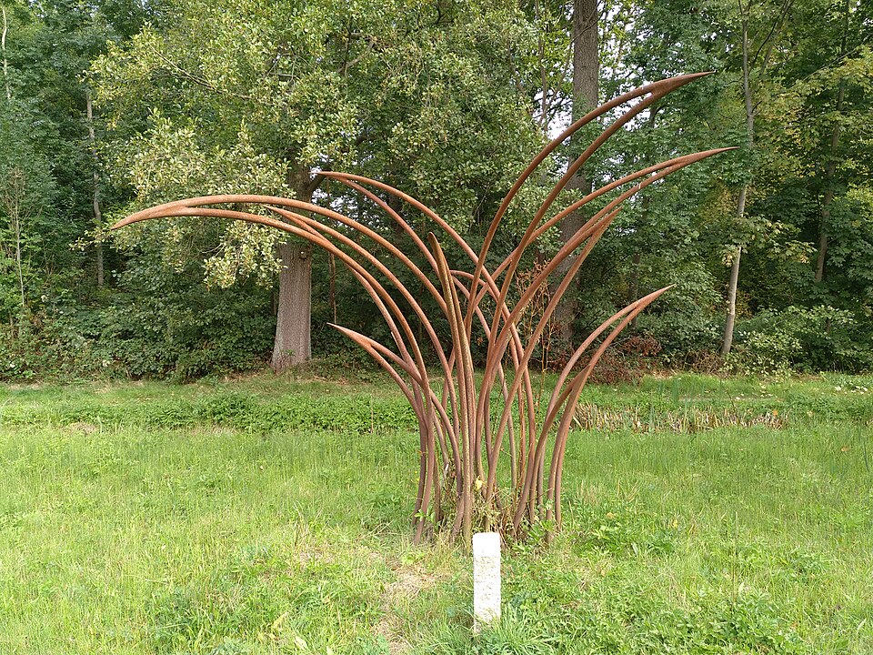 Segge - Von RogerWiki - CC0, https://commons.wikimedia.org/wiki/File:Carex-Segge_Andrea_Anderseck_(2013)_2020-09-23_01.jpg