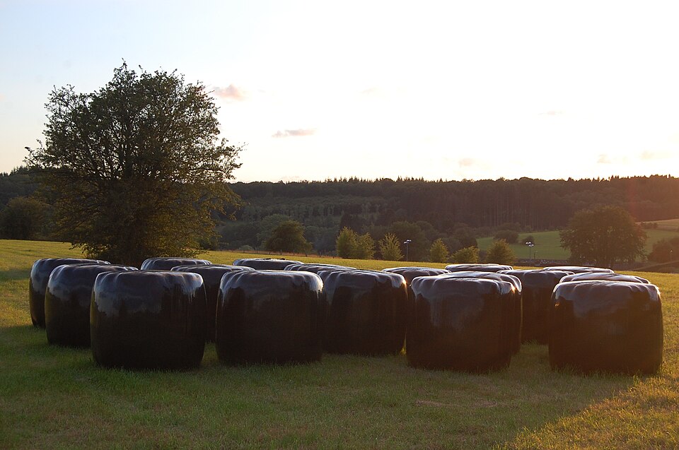 Silage - Von Lucyin - CC BY-SA 4.0, https://commons.wikimedia.org/wiki/File:Boles_four_plastike.jpg